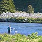 Fishing in Iceland